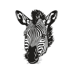 zebra, vintage logo line art concept black and white color, hand drawn illustration
