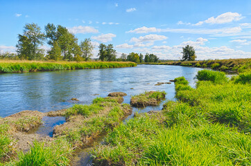 Fototapeta na wymiar Landscape of the Bow River from the river bank in Fish Creek Park, Calgary, Alberta, Canada 