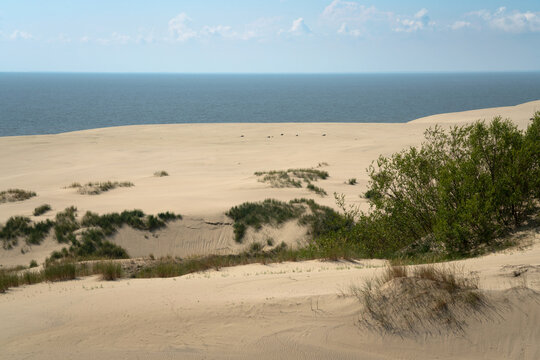 View of Staroderevenskaya dune from the height of Efa (Walnut Dune) and the Baltic Sea in the background on a sunny summer day, Curonian Spit, Kaliningrad region, Russia