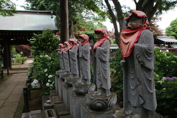 寺の境内に咲く紫陽花。川崎市の妙楽寺の紫陽花。六地蔵とアジサイ。