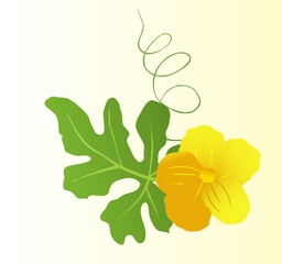 Yellow flower with leaf vector