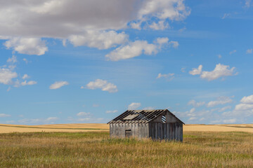 Fototapeta premium Old abandoned farm building in the prairie with a cloudy blue sky