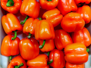 large quantity of loose red peppers with green caps