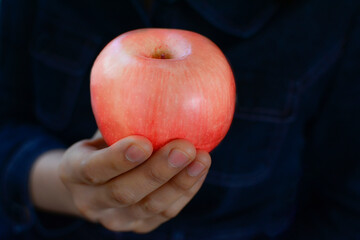 Apple is a popular fruit to eat in hand.