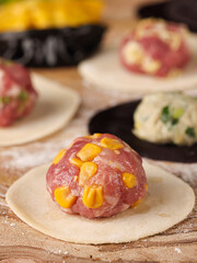 Chinese women are making dumplings in the kitchen(jiaozi), dumplings with various vegetables and meat fillings, indoor kitchen photography