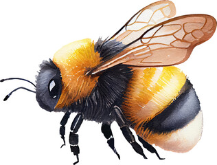Bee watercolor illustration. Generative AI