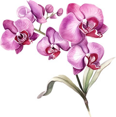 Purple Orchid flower watercolor illustration. Generative AI