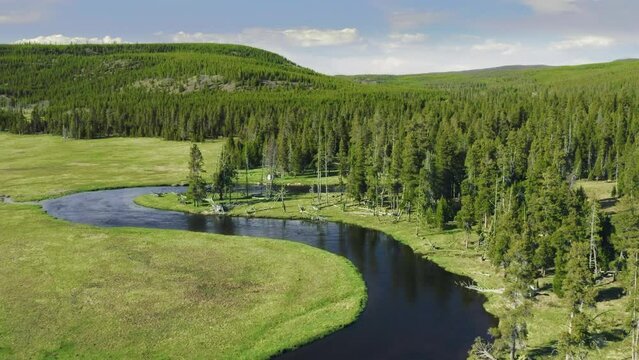Aerial view of forest in USA nature park at sunny summer day. Drone shot flying over spruce conifer treetops, nature background 4K footage. Cinematic Wyoming, Montana landscape river view