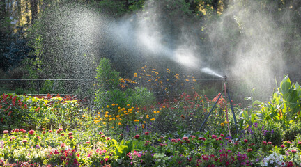 Watering working in morning in summer park. Watering lawn with colourful flowers. Selective focus.