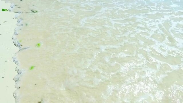 crab carcase on white sand with waves that prevail in jambiani beach paradise - SLOW MOTION