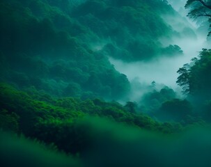 Fototapeta na wymiar Green forest with fog, autumn, cool tone, blue greenIllustration High Quality AI, KL Image