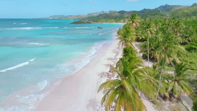 Drone view of Rincon beach In Las Galeras, Samana, Dominican Republic. White sandy beach with coconut trees.
