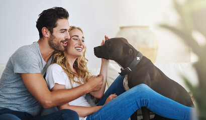 Smile, relax or happy couple with a pet on house sofa bonding or hugging with trust or loyalty...