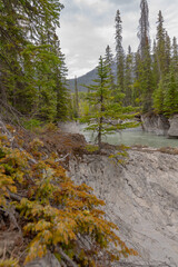 Fototapeta na wymiar Incredible scenery near Banff National Park in spring time with turquoise water flowing through wilderness forest area with snow capped mountains in spring time. 