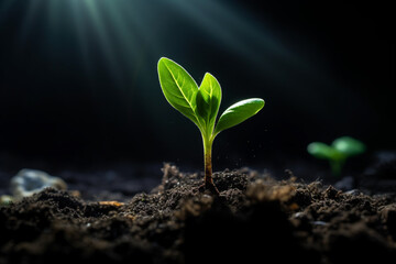 green plant growing through darkness in the ground with Generative AI