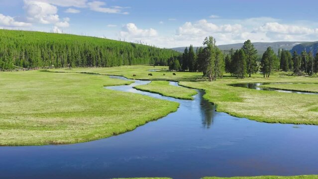 Cinematic wilderness nature with scenic curving river running by green meadow. Yellowstone National Park aerial view, flying over blue river in the American northern states at sunny summer Wyoming USA