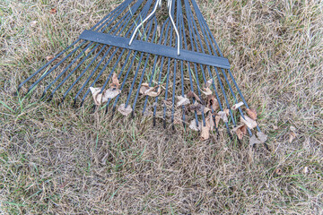 Pile of Dead leaves on a lawn cleared after winter