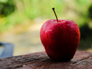 Red apple with aesthetic blurred background.