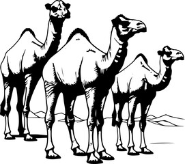 Camel sketch drawing