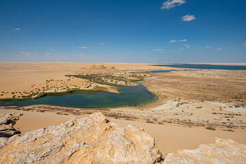 Panoramic view over remote desert valley landscape with salt lake