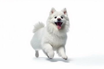 Cute playful white-Braun doggy or pet is playing and looking happy isolated on white background. Concept of motion, action, movement. realistic Dog. Generative AI.