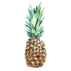 Pineapple watercolor illustration isolated on white background. For design, decoration, compositions of postcards, posters, stickers, prints.