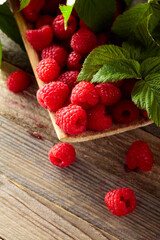 Fresh raspberries with leaves.