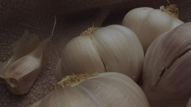 Fresh garlics on linen cloth, dolly backward view