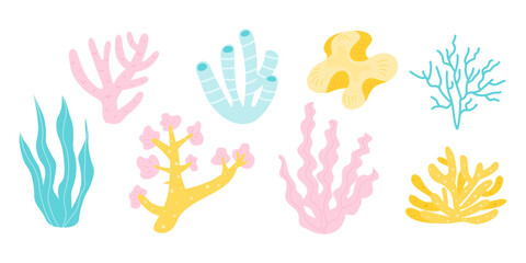 Fototapeta na wymiar Various types of coral reefs, algae and seaweed