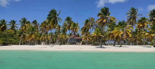 Obraz premium Plage des caraïbes
