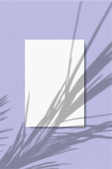 A vertical A4 sheet of white paper on the soft violet wall background. Mockup overlay with the plant shadows. Natural light casts shadows from a palm branche