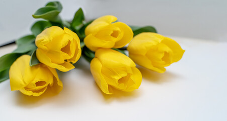 Bouquet of yellow tulips isolated on white background with clipping path. Valentine's Day and Mother's Day background.