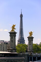 Fototapeta na wymiar Eiffel tower and The Pont Alexandre III 
