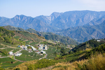 Lots of tea field over the mountain in Alishan of Shizhuo in Taiwan