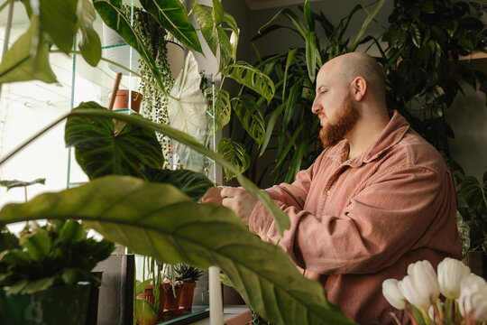 Man examining houseplants standing by window