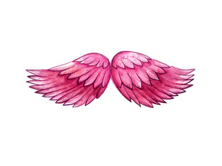 The wings are pink with a darker purple outline. Watercolor blur. Feather texture. White background.