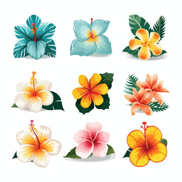 hawaiian flower leaf summer hawaii tropical floral nature vector hibiscus illustration plant aloha decoration