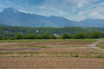 Obraz premium Rice field scenery in early summer in Japan