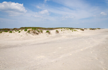Fototapeta na wymiar Sand Dunes at Assateague Island off the coasts of Maryland and Virginia