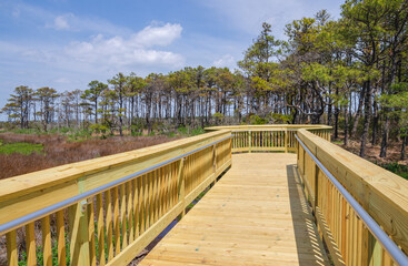 Boardwalk at Assateague Island off the coasts of Maryland and Virginia
