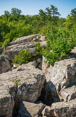 Fototapeta na wymiar Overlook at Catoctin Mountain Park