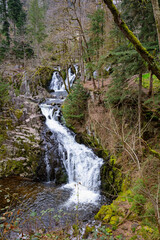 Cascade du Bouchot à la sortie de l'hiver dans les Vosges