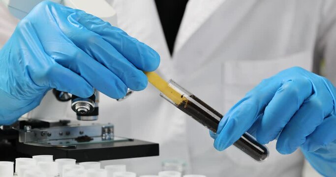 Soil laboratory analysis scientist measures pH of soil sample with litmus strips. Agrochemical soil survey