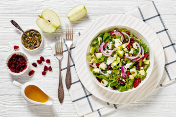 Green Salad with Apples, Goat Cheese, Cranberries, Red Onion and Pepitas in white bowl on white wood table with forks and ingredients, horizontal view from above, flat lay