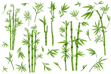 Fototapeta na wymiar Set of illustrations of bamboo, leaves and branches, vector 