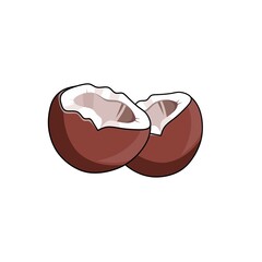 illustration of coconut