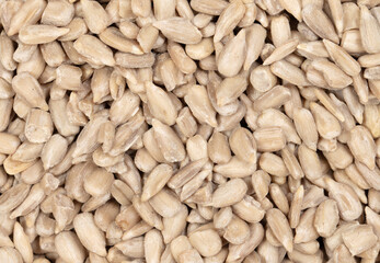 Heap of natural shelled sunflower seeds