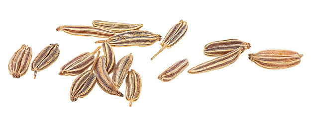 Spice cumin. Dried cumin seeds isolated on a white background, macro.