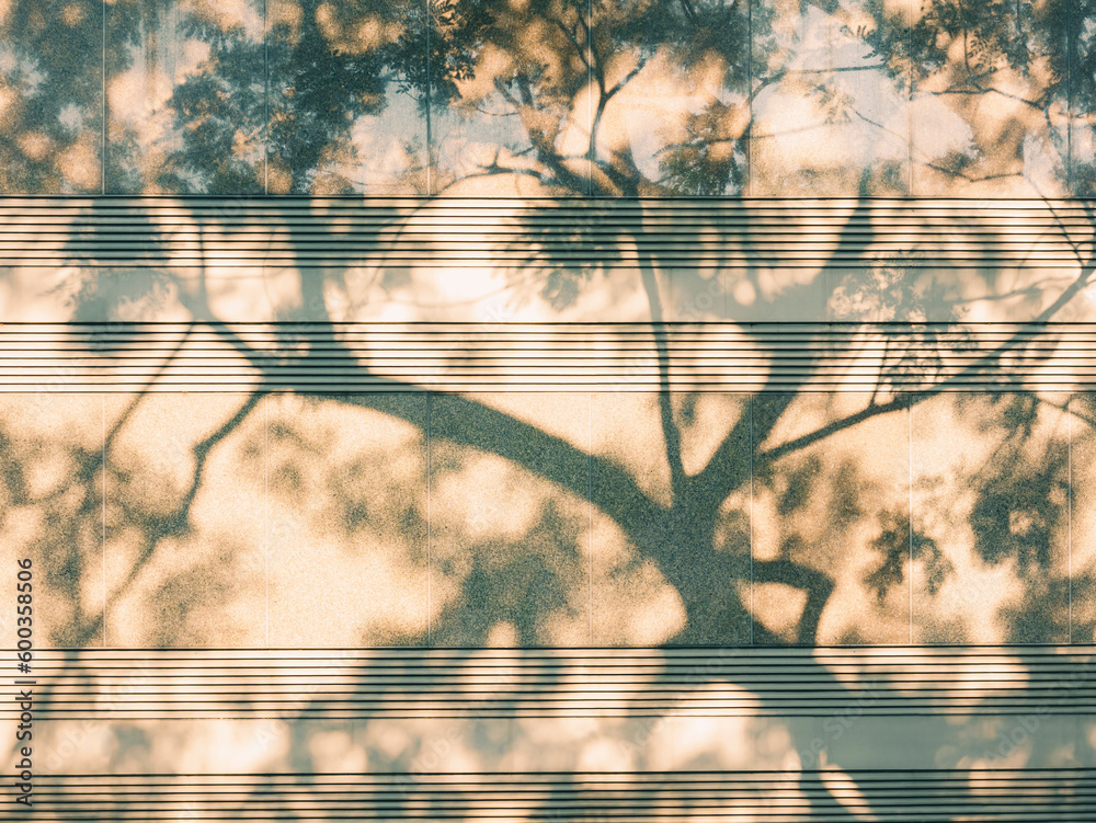 Poster tree branch and leaves shadow on wall daylight nature background