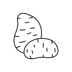 Vector hand drawn potato outline doodle icon. Starch sketch illustration for print, web, mobile and infographics isolated on white background